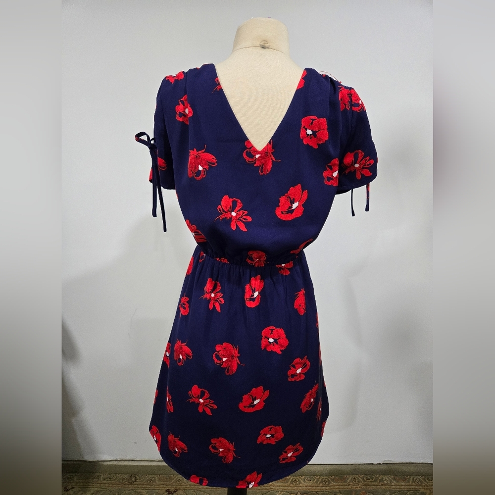 41 Hawthorn Red White And Blue Summer Dress